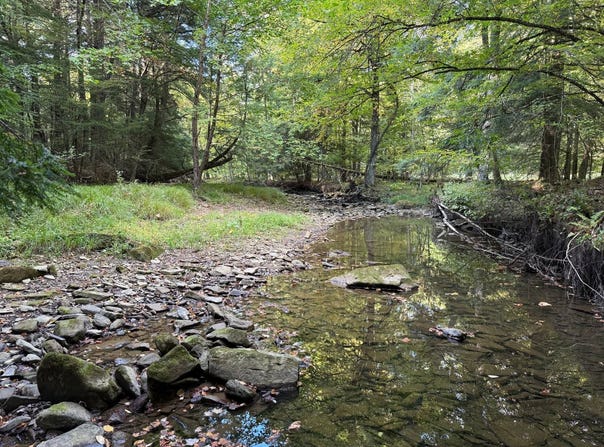 Irvine Run Rd, Youngsville, PA 16371