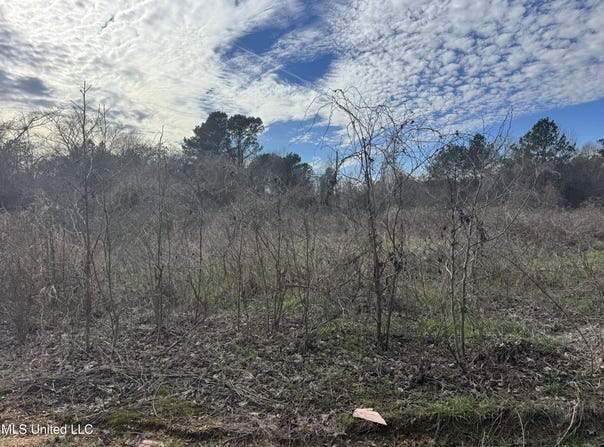Hawpond Church Road, Magee, MS 39111