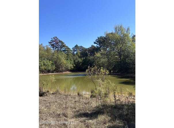 Sharon Road, Canton, MS 39046
