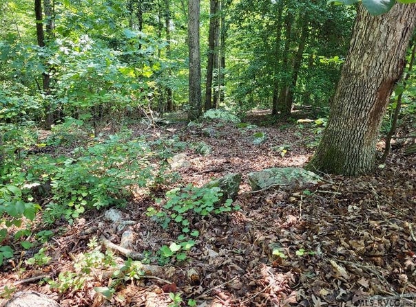 Weanock Lane lot: 74, Ebony, VA 23845