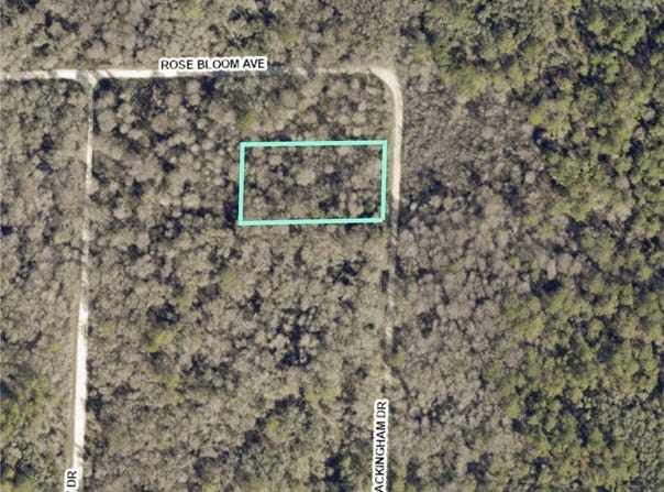 8009 Packingham Street, Webster, FL 33597
