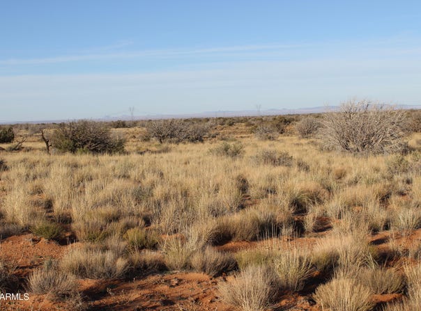 CCR Unit 2 lot: 224, Heber, AZ 85928
