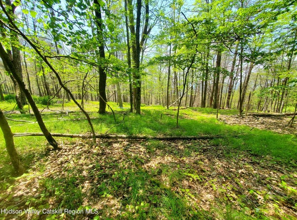 Piney Lane, Cragsmoor, NY 12420