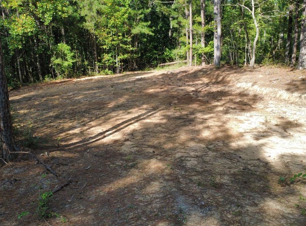 851 SHORESIDE Dr, Double Springs, AL 35553