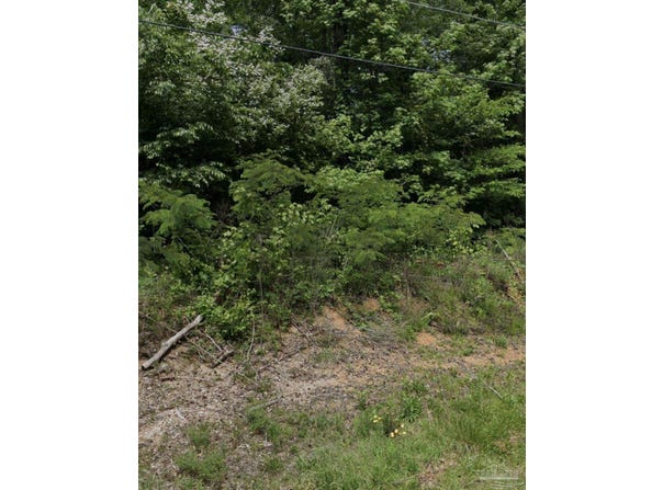 626 Birmingham Ave, Trussville, AL 35173
