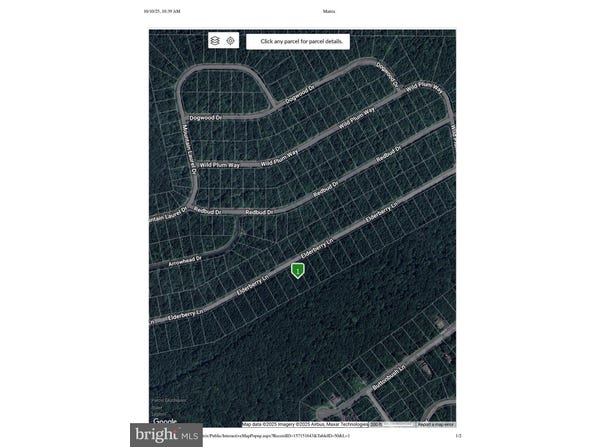 ELDERBERRY Lane, HAZLETON, PA 18202