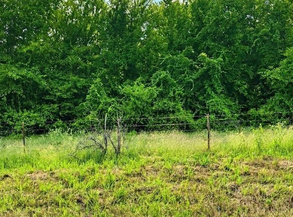 Tract 3 TBD FM 990, Simms, TX 75574