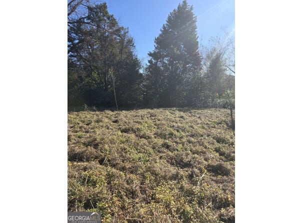 1 Main Street, Register, GA 30452