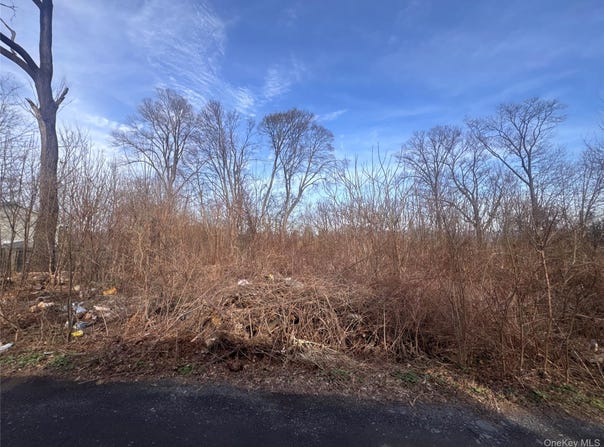 121 Robinson Avenue, Newburgh, NY 12550