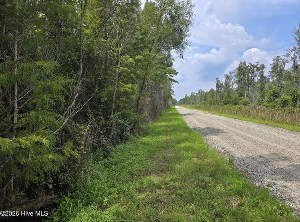 Elementary School Road, Columbia, NC 27925