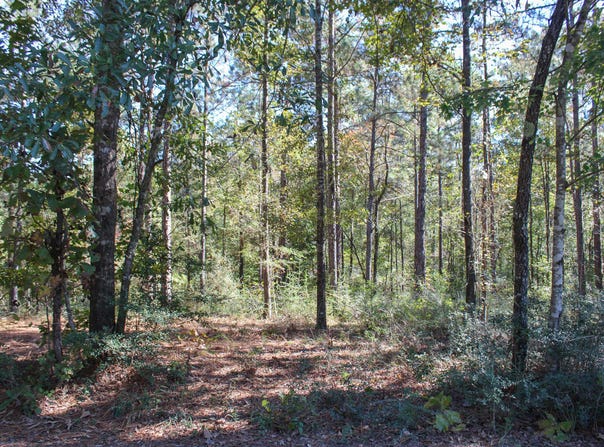 Marshal Pl, Petal, MS 39465