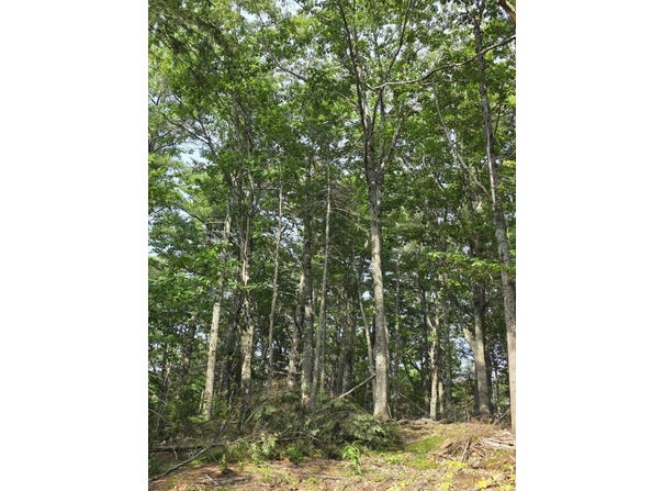 Pinnacle Road, Liberty, ME 04949