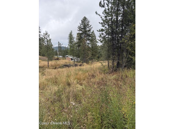 NKA F St, Plummer, ID 83851