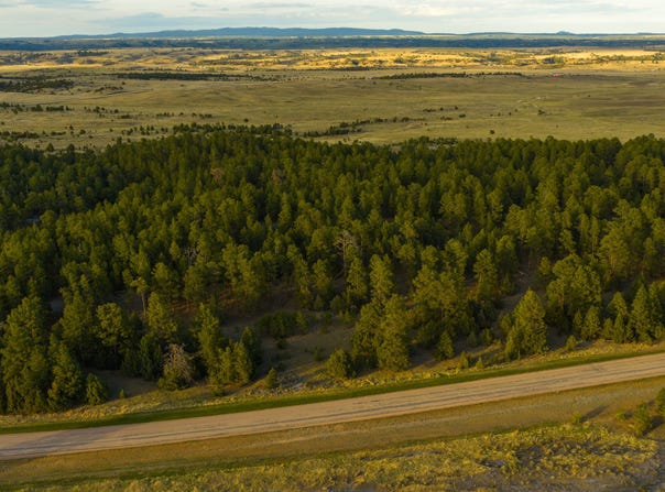 Pine ridge road, Moorcroft, WY 82721