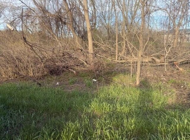 S Mason Drive, Grant, MI 49327