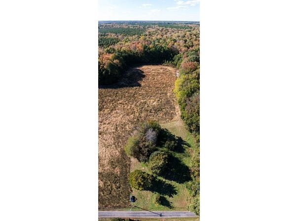 42-14 Chippokes Farm Road, Surry, VA 23883