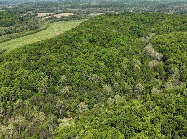Salt Creek Road, Millfield, OH 45761