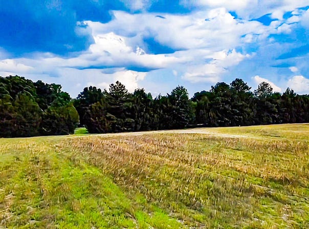 0-B Mt Carmel Road, Walterboro, SC 29488