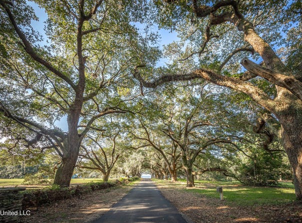 Pointe Aux Chenes lot: 7, Ocean Springs, MS 39564