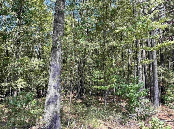 1209 Pine Drive, Haskell, AR 72015