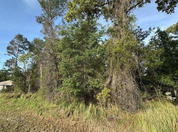 OLIVE Circle, OCALA, FL 34472
