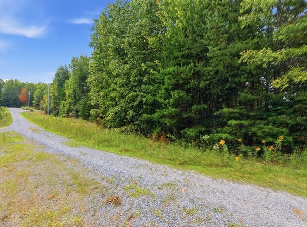 335 Mockingbird Lane, Wilder, TN 38589