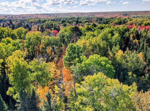 Horoscope Road, Pelkie, MI 49958