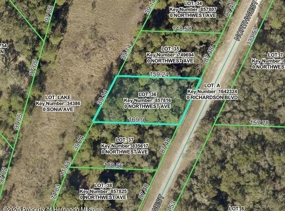 7352 Northwest Avenue, Webster, FL 33597