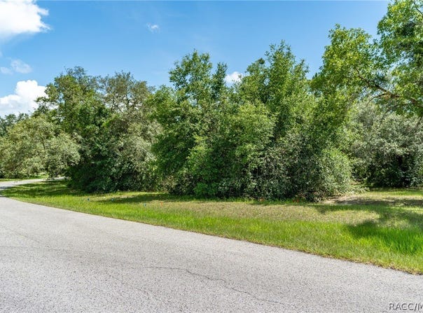 4695 N Pine Valley Loop, Lecanto, FL 34461