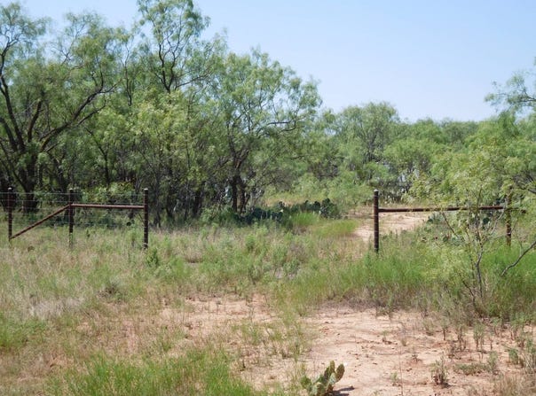 6245 HWY 83, Winters, TX 79567
