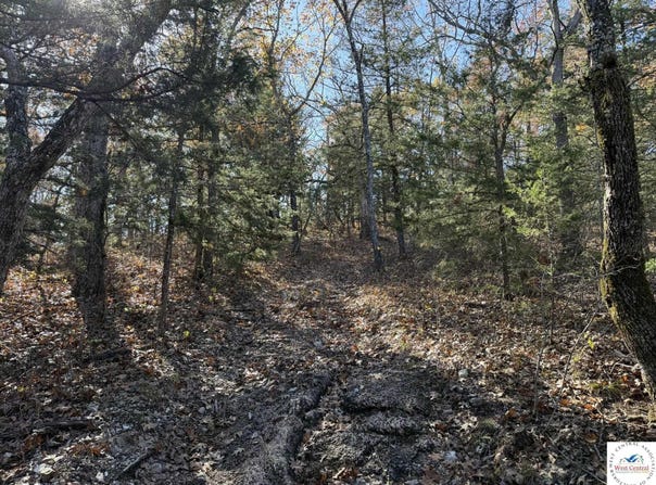 35.8 Acres Whitetail Way, Lincoln, MO 65338
