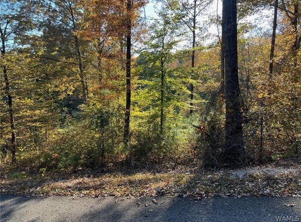 ALLISON Drive lot: 8, McCalla, AL 35111