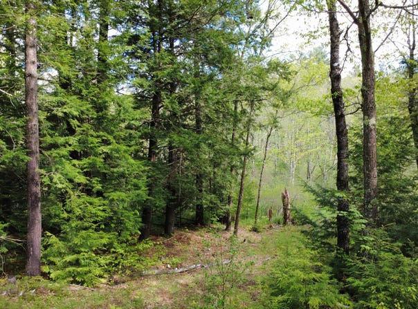 41 Fishtown Road, Liberty, ME 04949