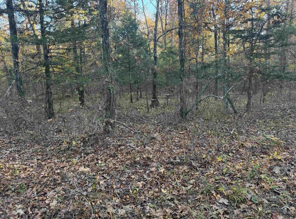 9999 easement Road, Cove, AR 71937
