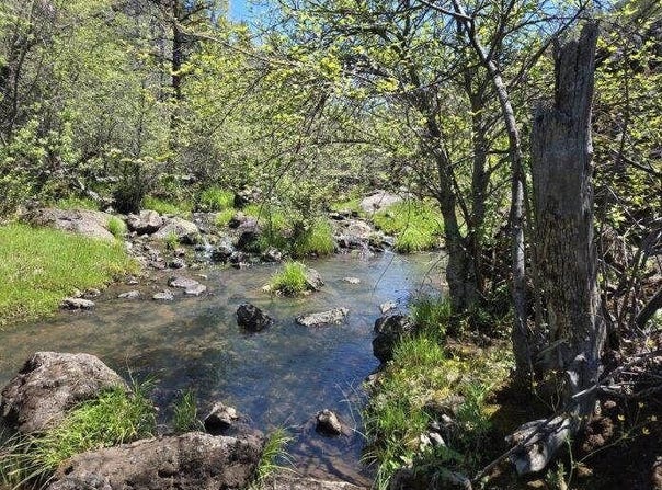 Pitville Road, McArthur, CA 96056