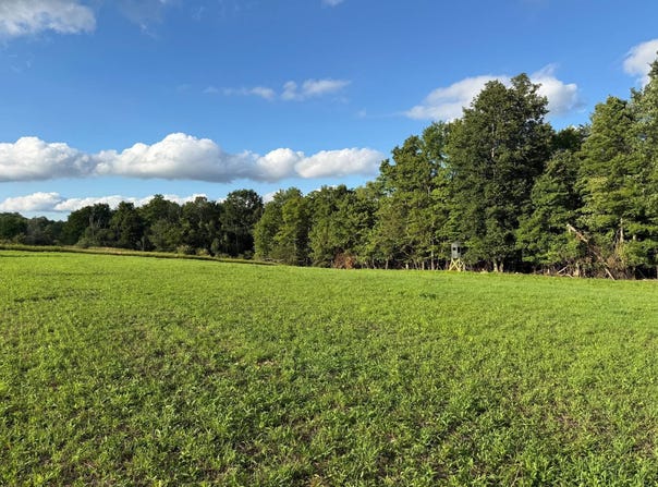 Ongley Hill Rd, Grand Valley, PA 16420