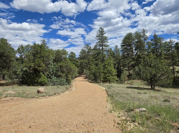 638 Keith Ln, Texas Creek, CO 81223