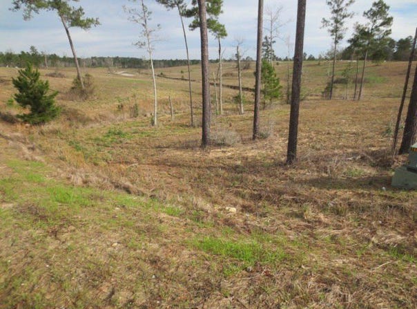 25 Josie Drive, ELLISVILLE, MS 39437