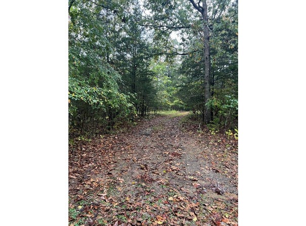 Old Hwy 42 S, Monroe, TN 38573