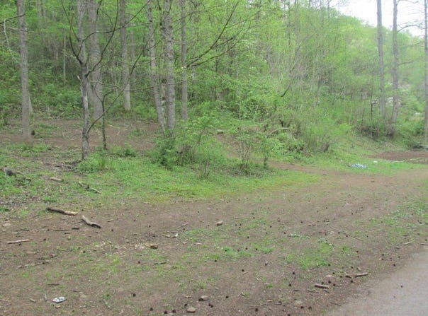 Keathley Fork Toler Creek, Harold, KY 41635