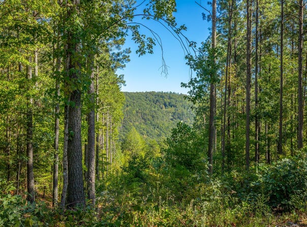 Split Rail Way lot: 1372, Guild, TN 37340