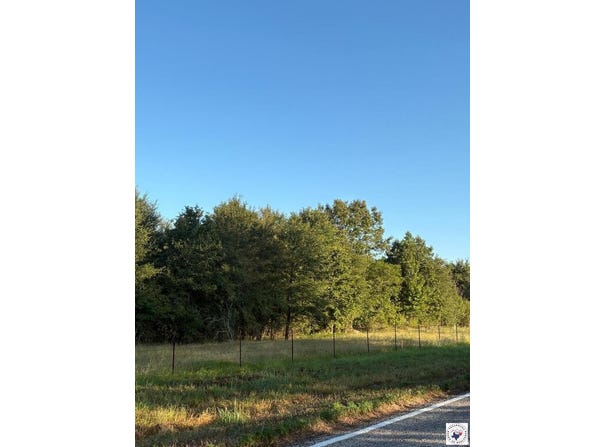 TRACT 4 HWY 990, Simms, TX 75574