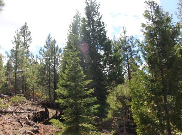 Tower Springs, Bly, OR 97622