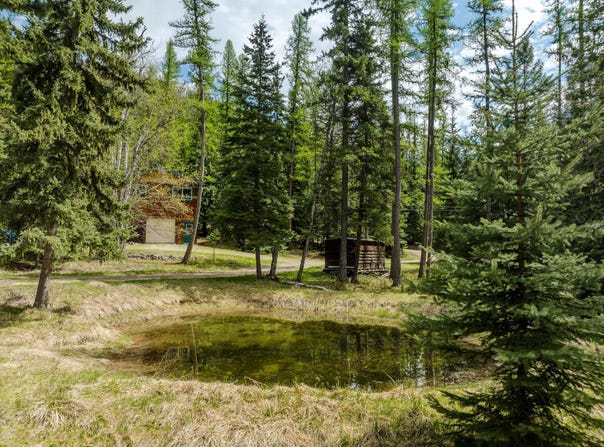 313 Griffith Creek Road, Eureka, MT 59917