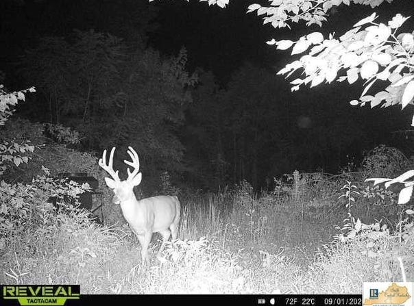 Black Beard Road, Edmonton, KY 42129