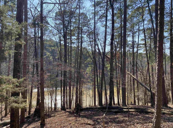 17 Southridge Drive, Mount Ida, AR 71957