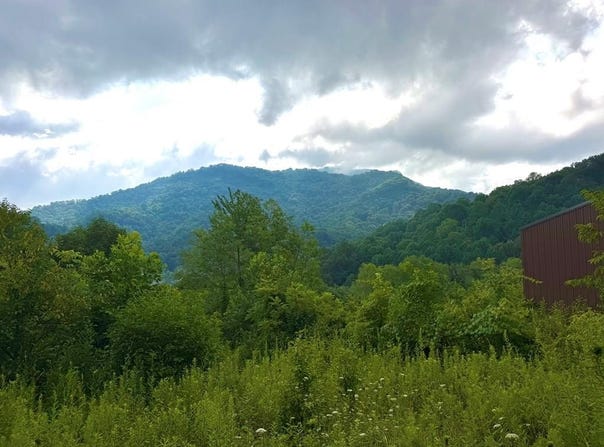 Trillium Way, Clyde, NC 28721