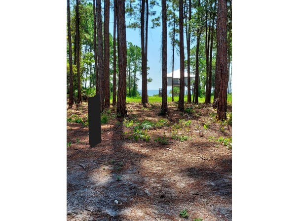 164 Royal Tern Way, Carrabelle, FL 32322
