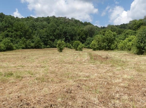 5.6ac Lonnie Reecer Rd, Celina, TN 38551