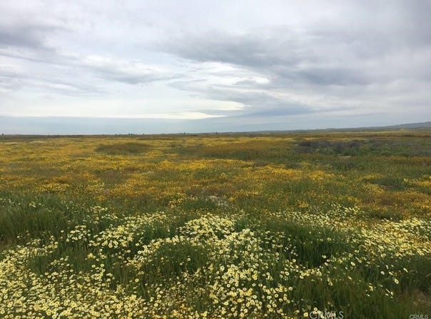 Davville, California Valley, CA 93453